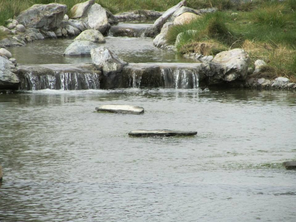 River with Waterfalls — Carmichael, CA — Elite Ponds