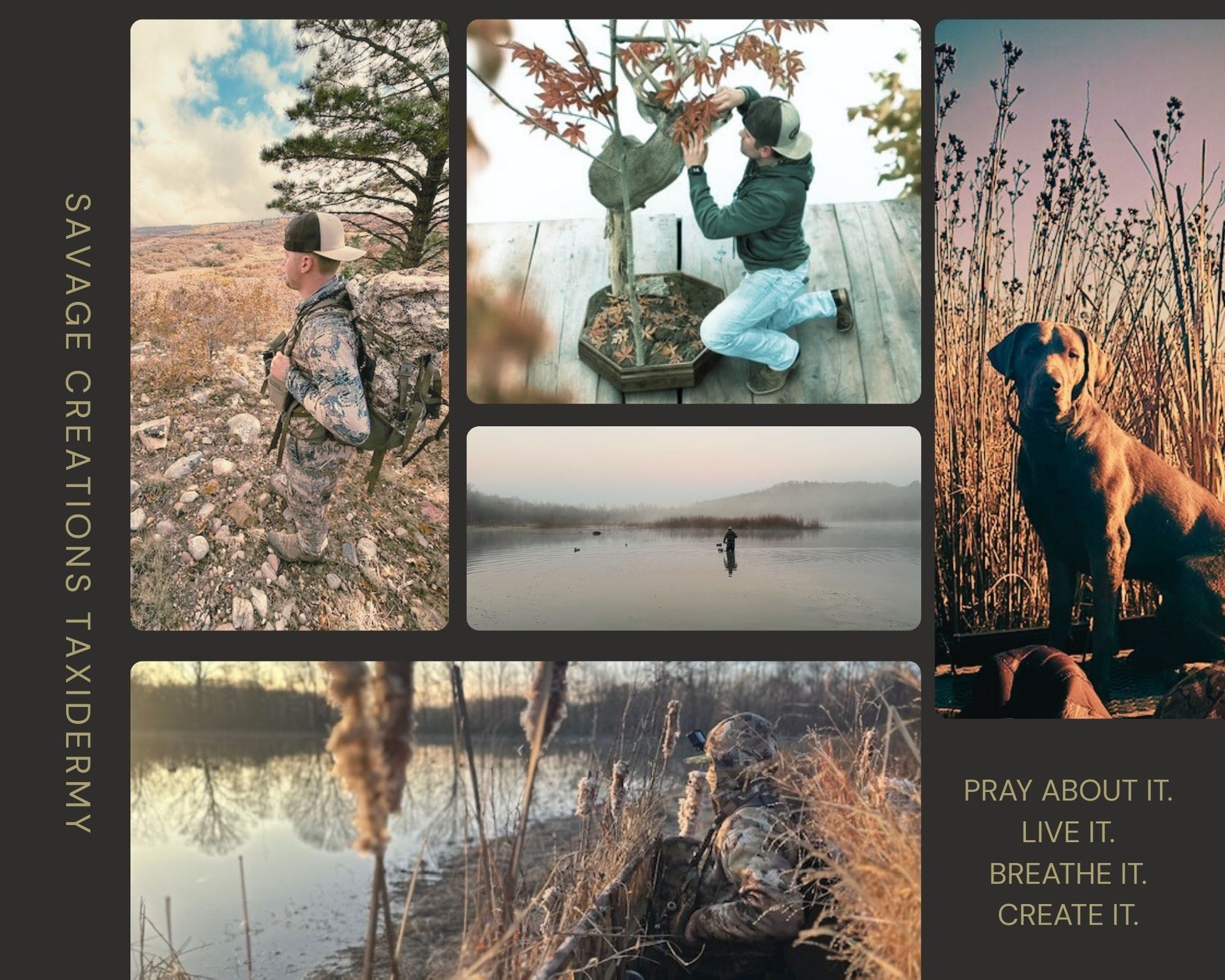 Collage: scenes of taxidermy, hunting, and a dog; outdoor settings, neutral colors.