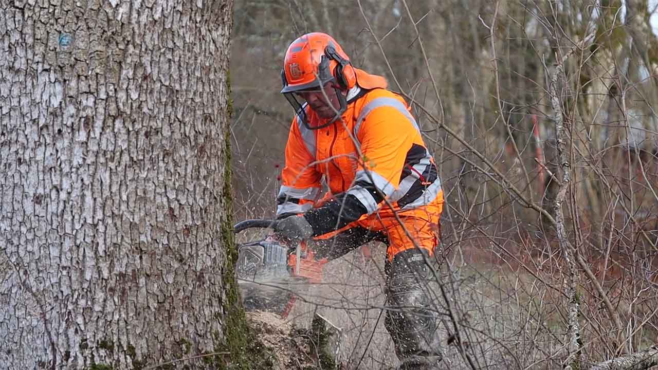 Pers Ved prenumererar på hemsida hos Delta