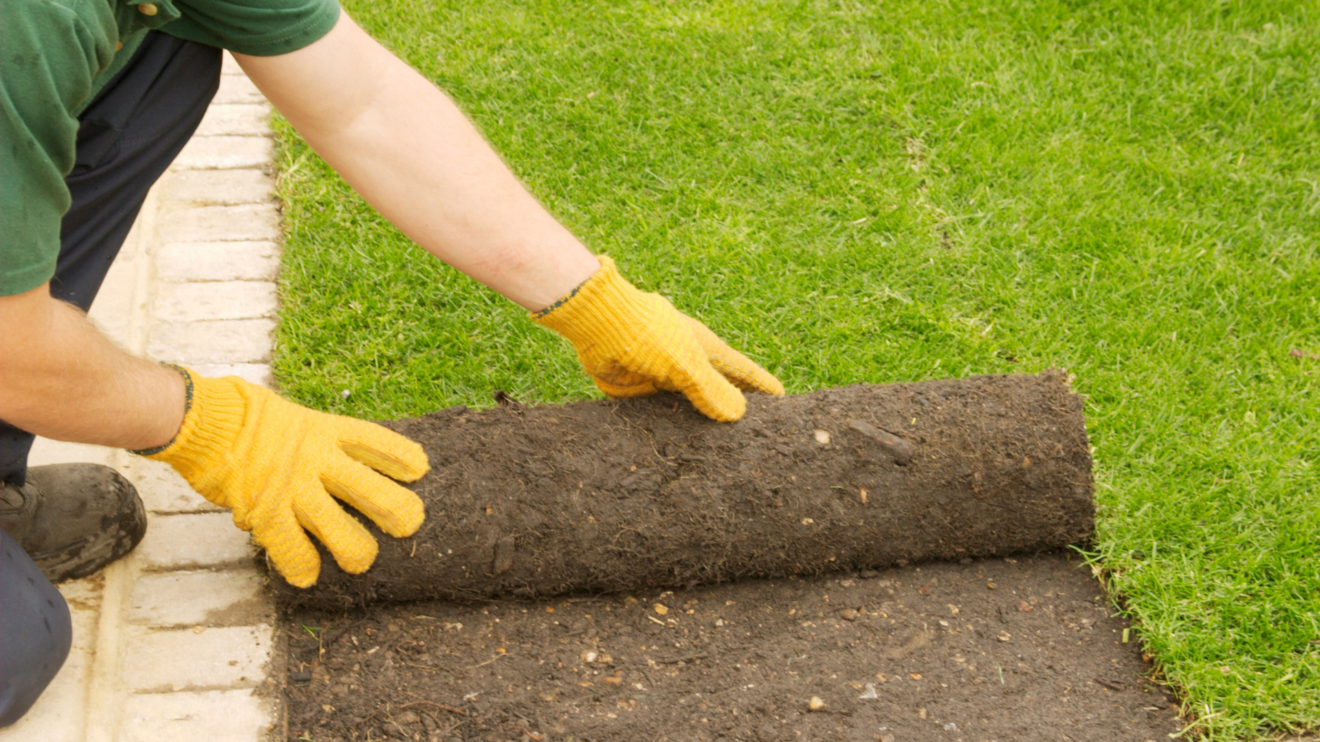 Man installing artificial grass.
