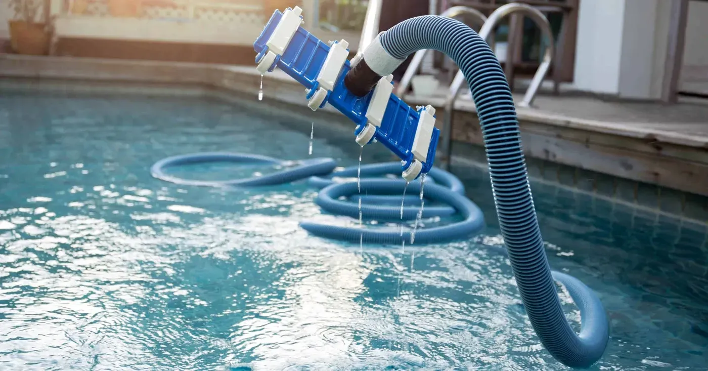 5 Ways to Keep Bugs Out of Your Pool - Omni Pools & Scapes