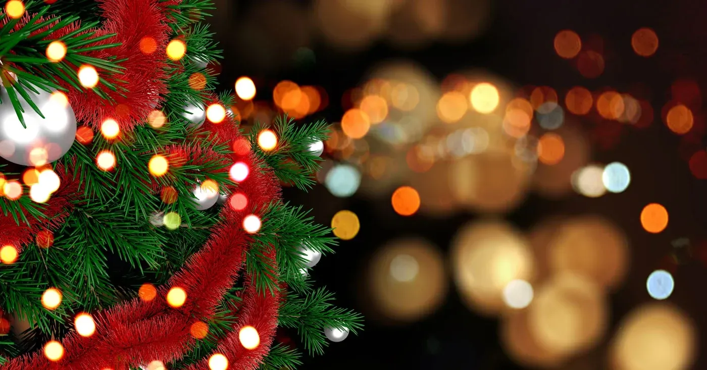 Christmas Light Safety Tips - Omni Pools & Scapes