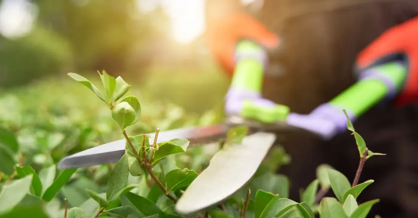 How to Keep Your Lawn and Garden Tools in Good Condition - Omni Pools & Scapes