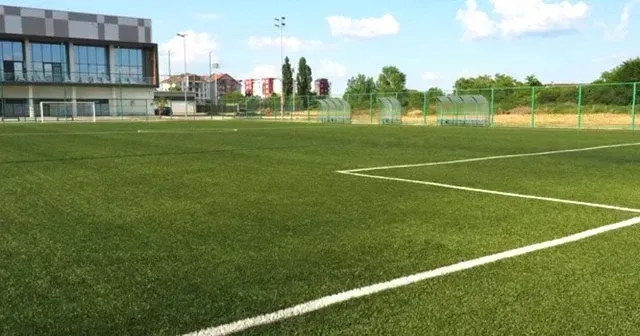 Commercial Turf