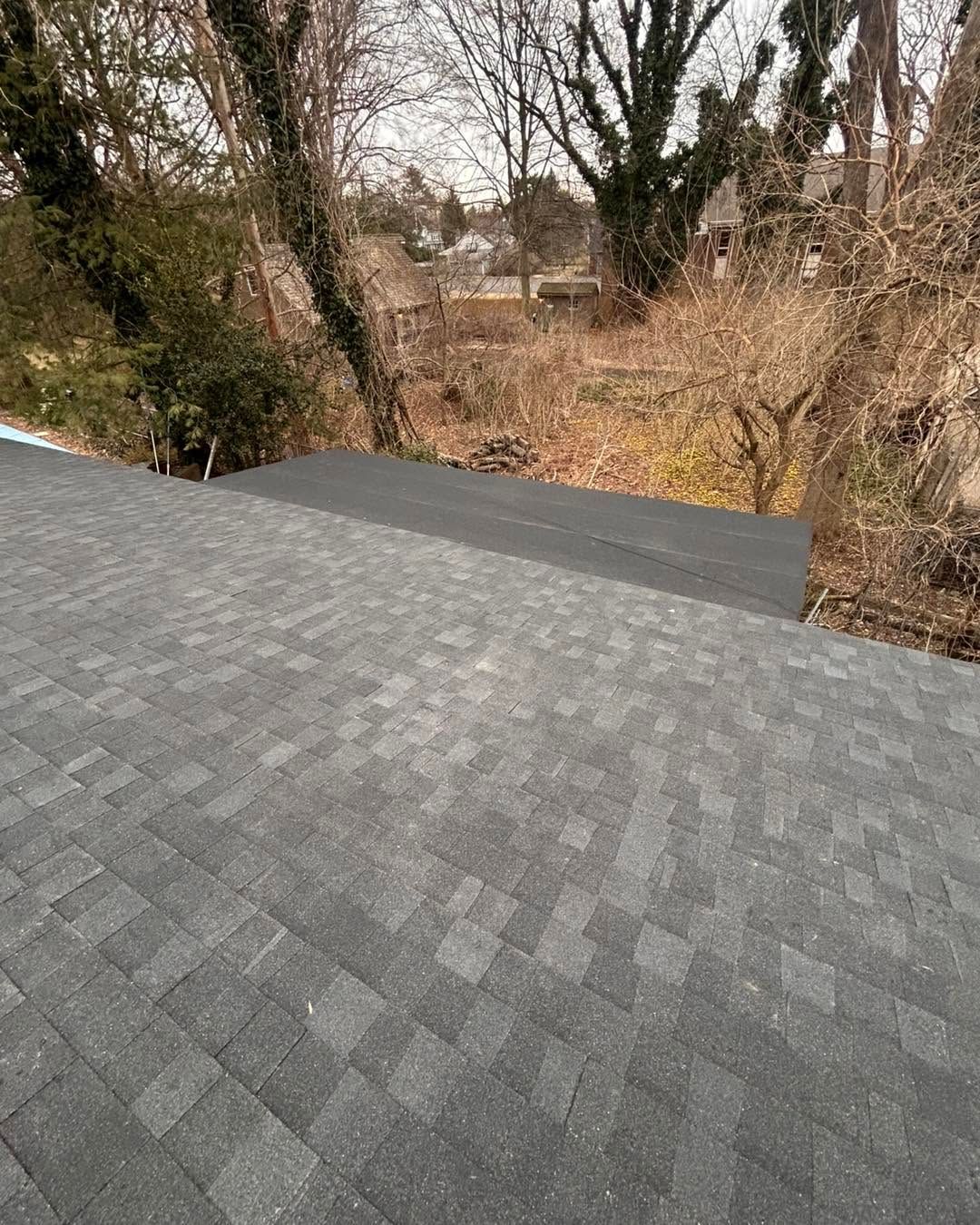 Gray shingled rooftop overlooking a wooded backyard in winter