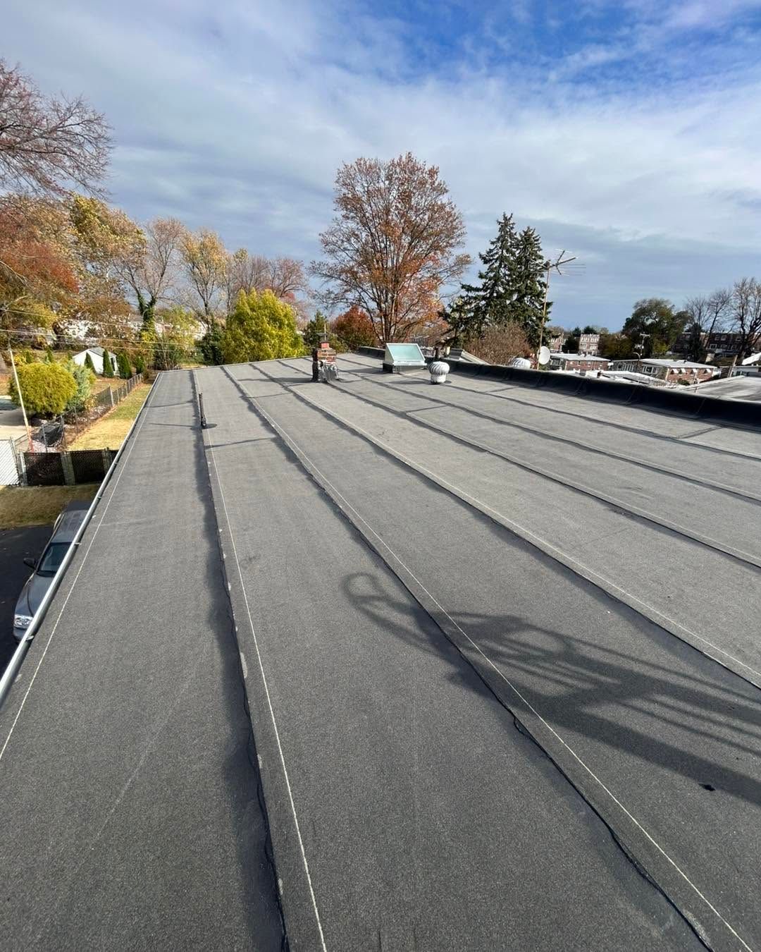 Flat gray rooftop with skylights and autumn trees under a blue sky