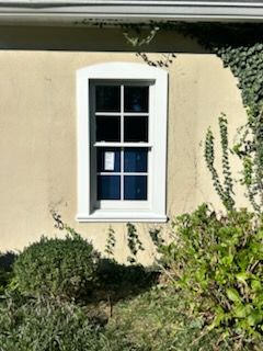 White-framed window on a beige stucco wall, partly shaded by ivy and shrubs below.