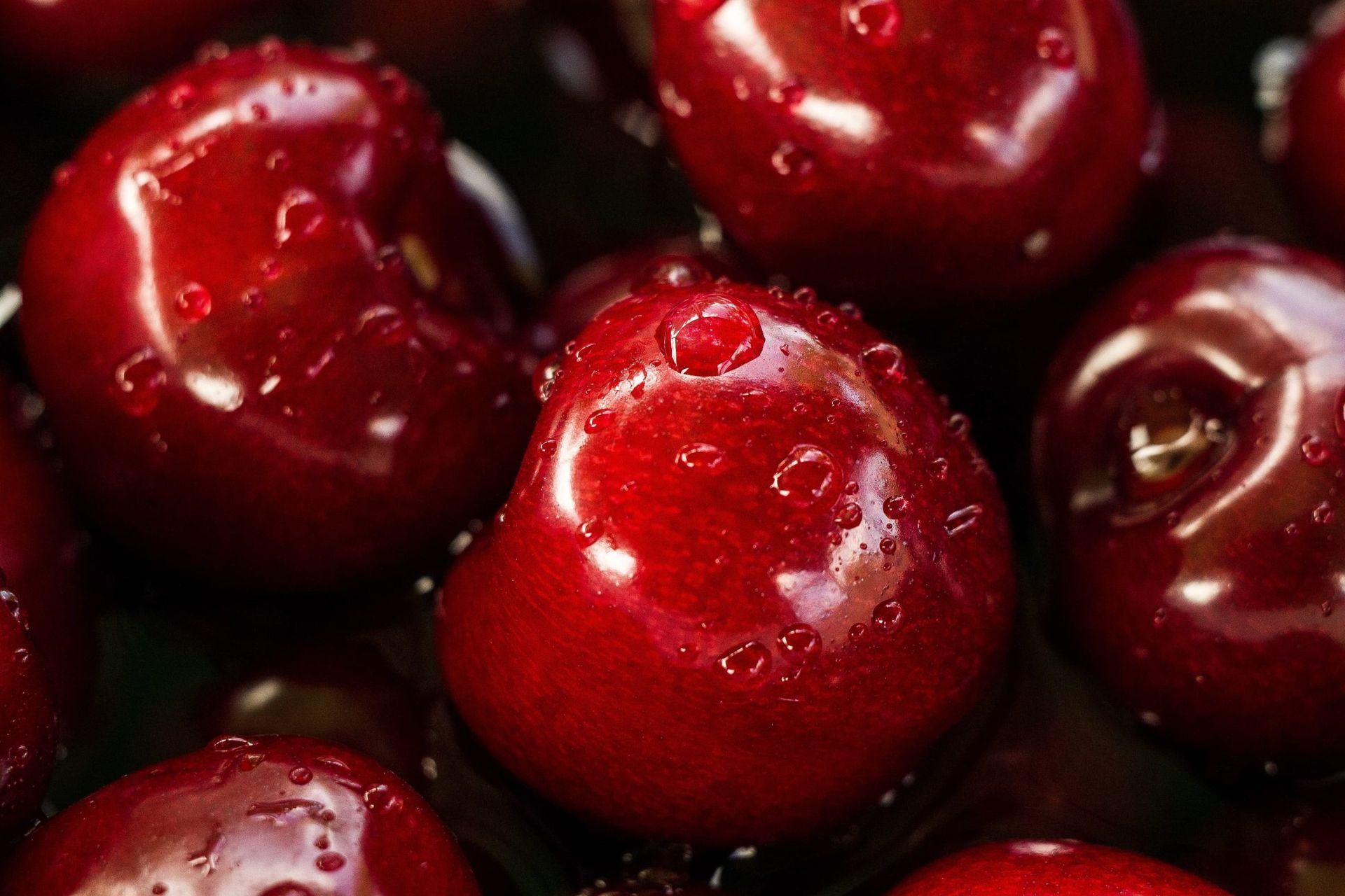 Primo piano di ciliegie rosse mature e lucide con gocce d'acqua.