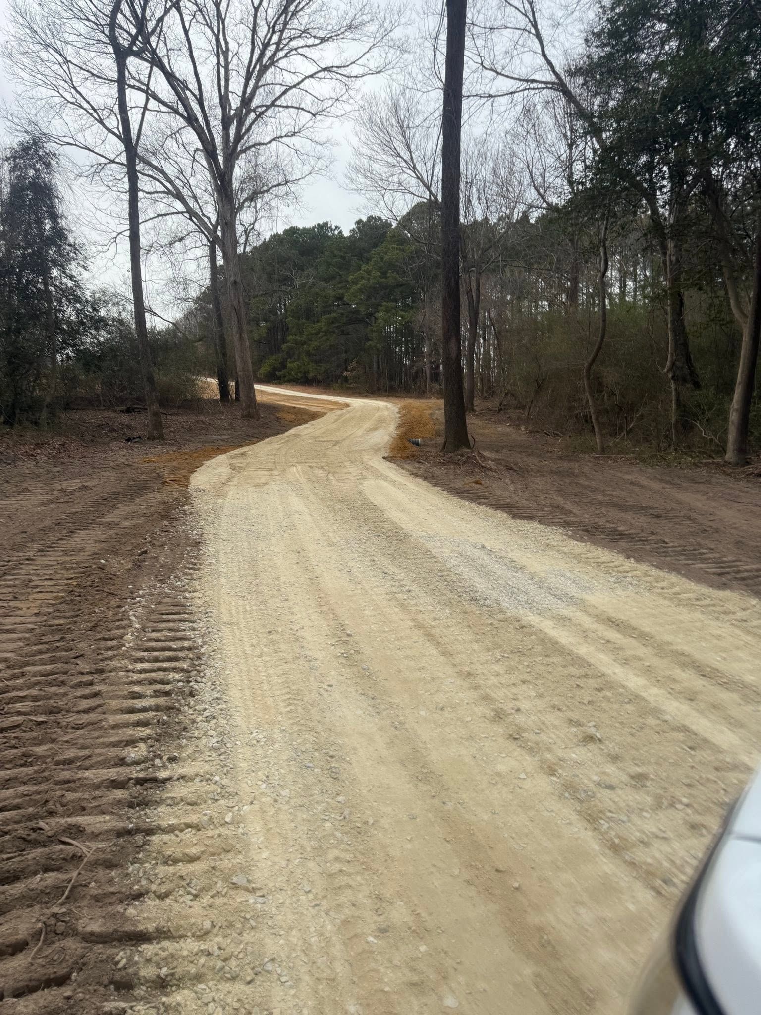 Gravel road curving through leafless trees in a wooded area, viewed from a vehicle window.