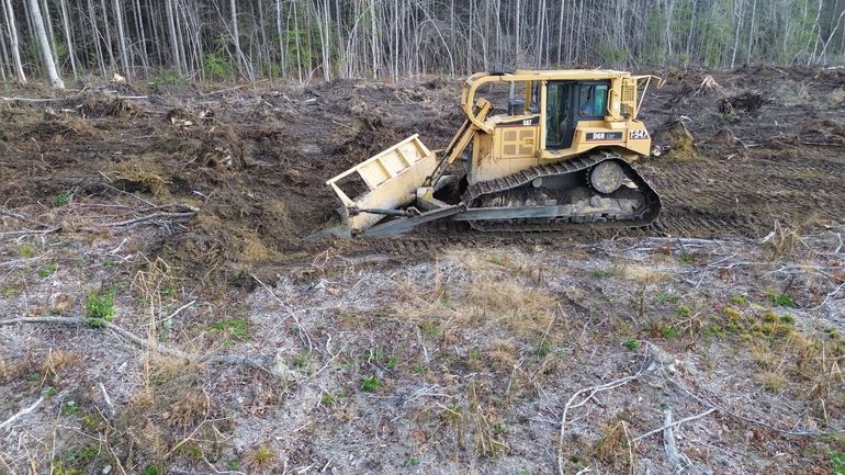 Yellow bulldozer in a muddy forest clearing pushing a log grapple attachment