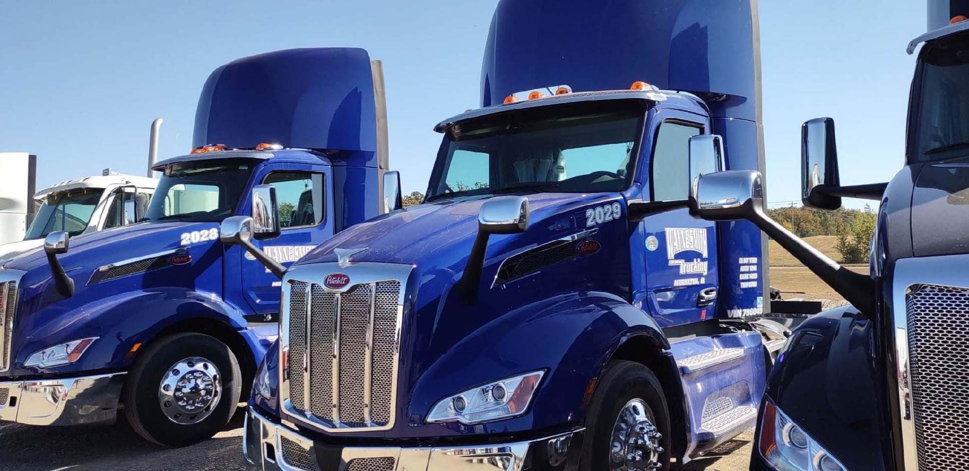 Blue semi trucks parked side by side in a lot under clear sky