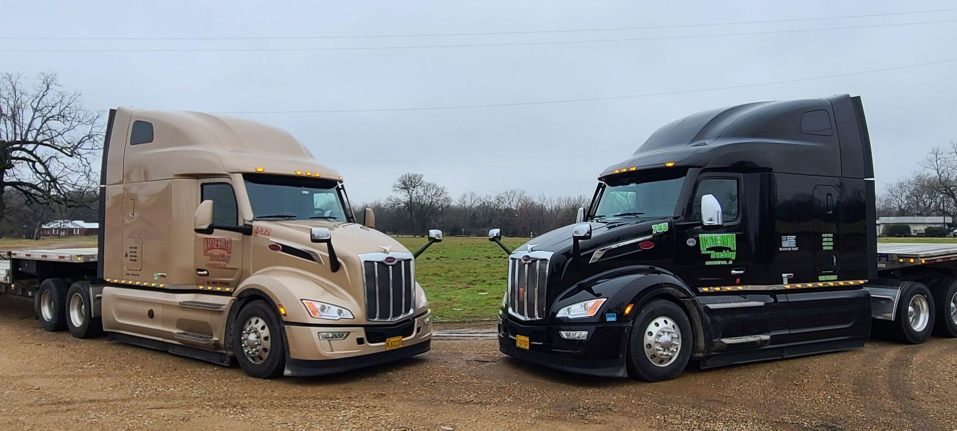 Two semi trucks, one tan and one black, parked side by side on a dirt lot.