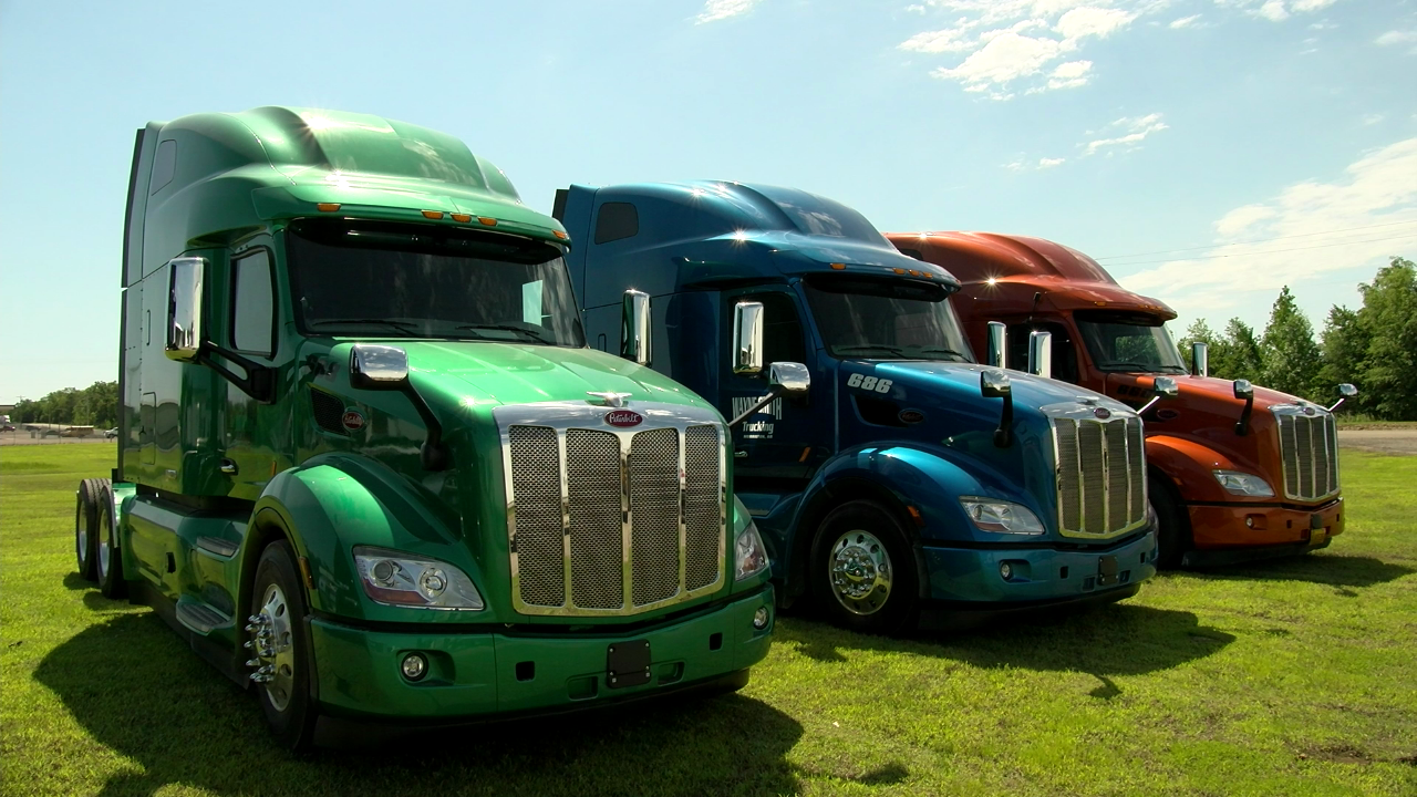 Three parked semi trucks in green, blue, and orange on a grassy field under a sunny sky