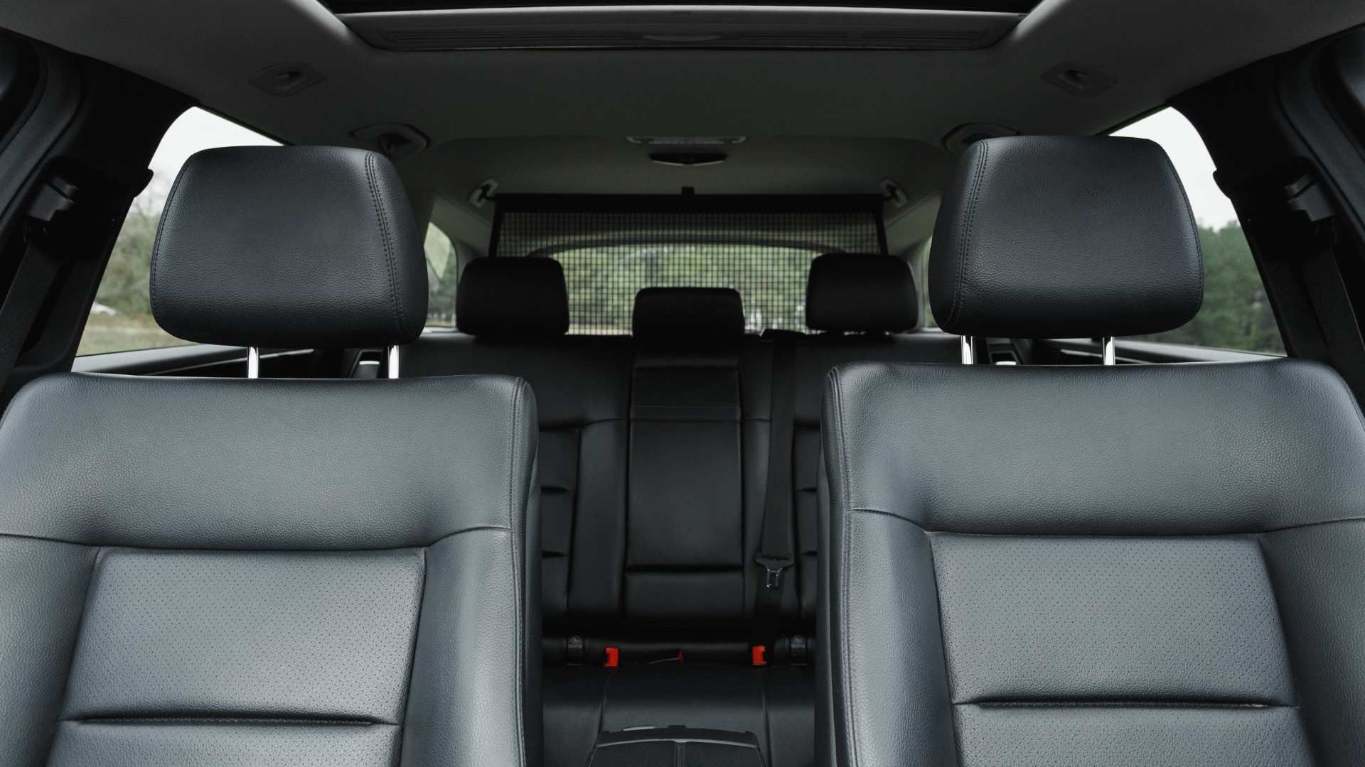 Inside a car, view from the back showing two black front seats and the rear bench seat.