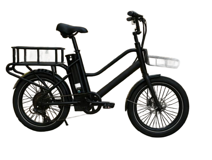 Tricycle cargo électrique noir avec une boîte, garé à l'extérieur.