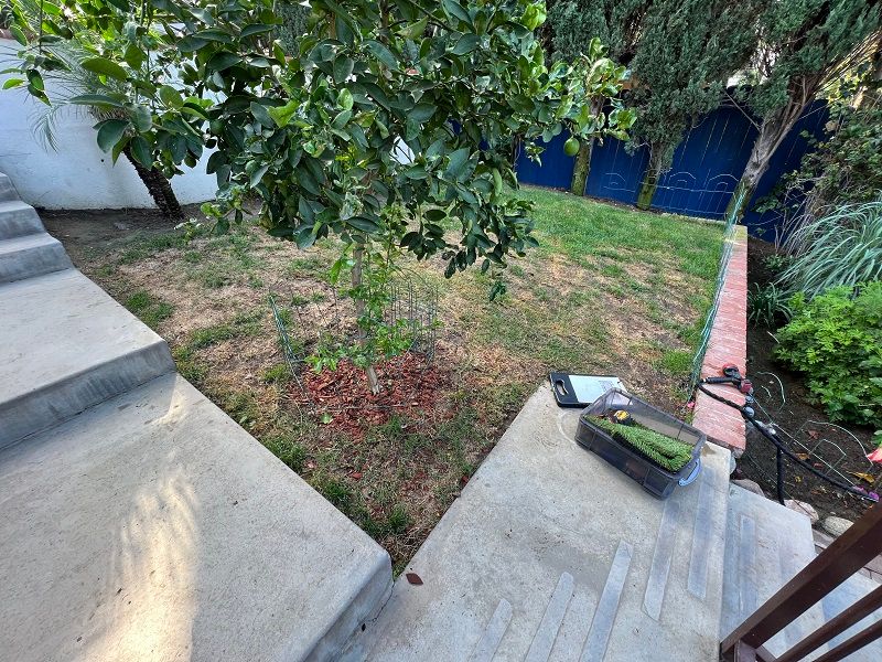 Before installing pet turf