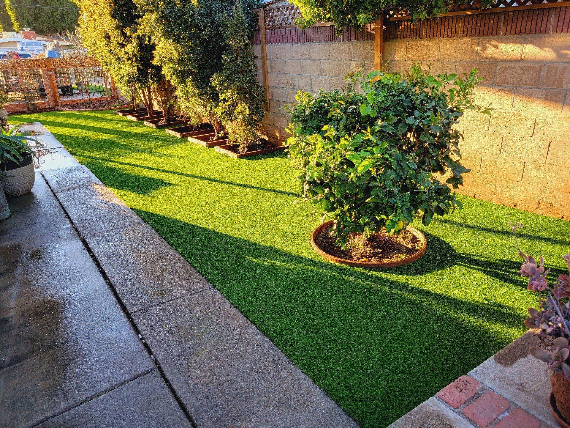 After pet turf installation LB