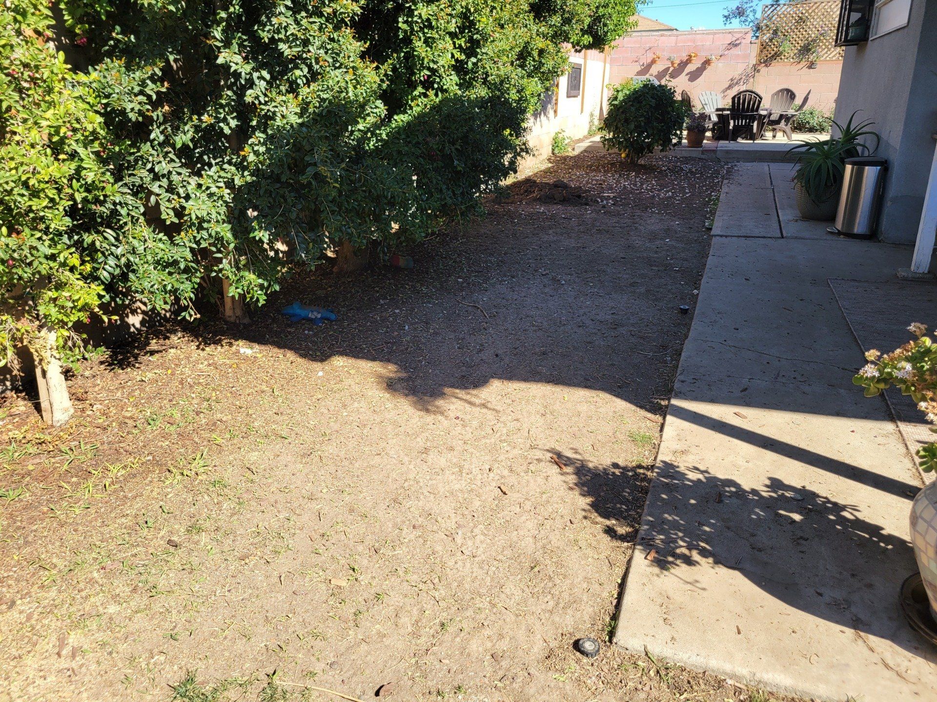 Before pet turf installation LB