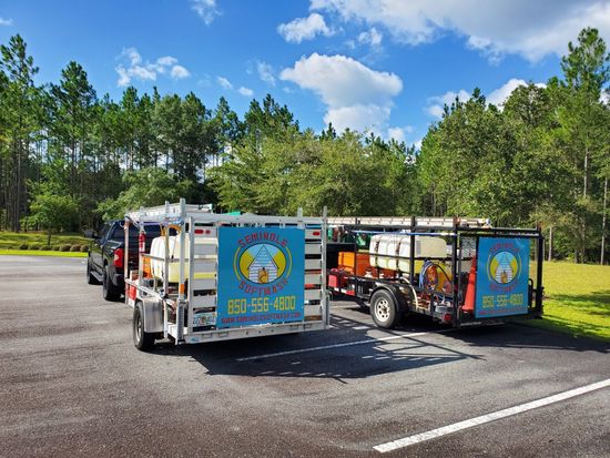 Roof Cleaning — Softwashing in Tallahassee, FL Roof Cleaning — Softwashing in Tallahassee, FL