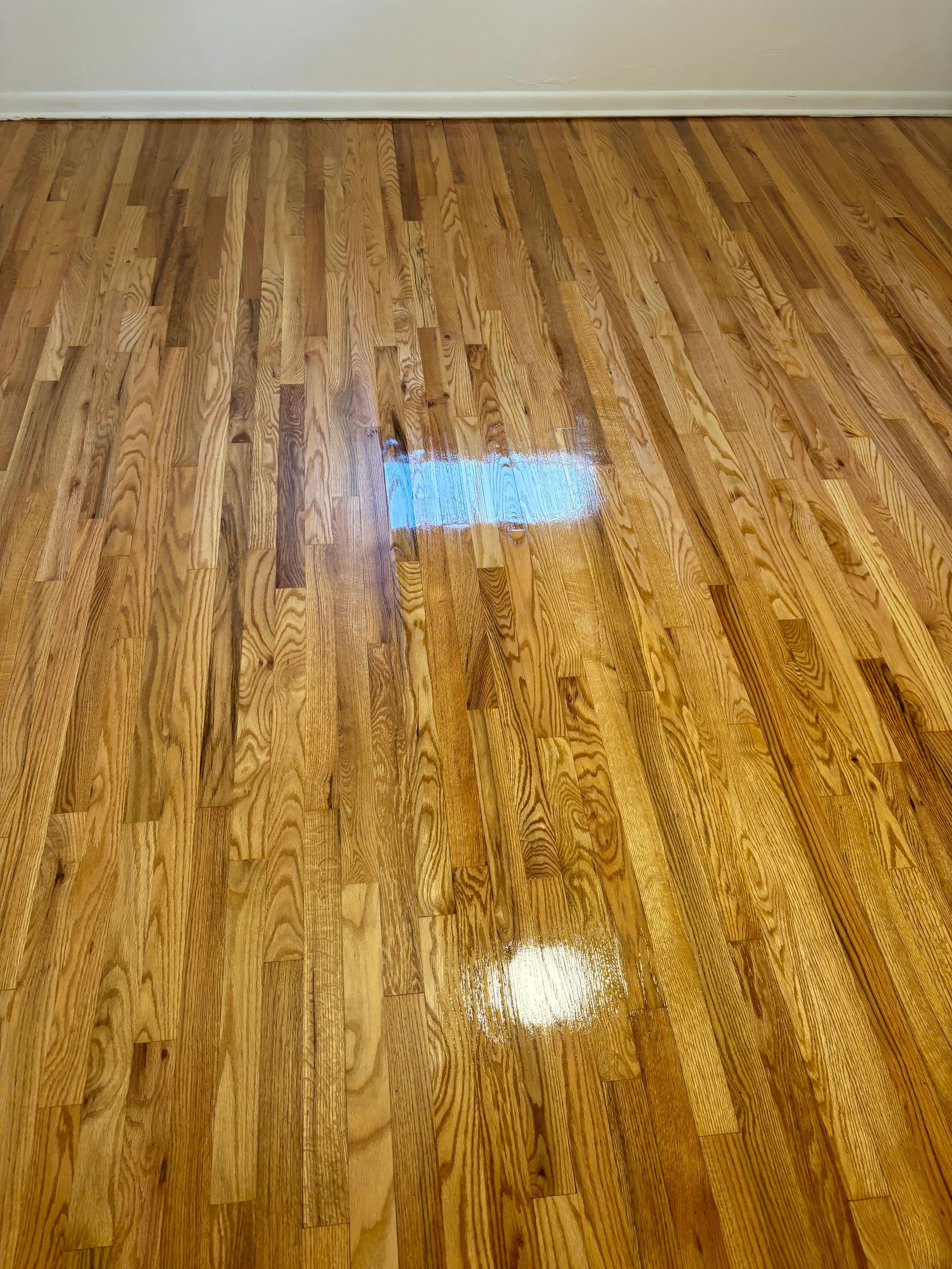fLYING v fLOORS Pittsburgh, pa BUFF AND RECOAT AFFORDABLE FLOOR REFINISHING