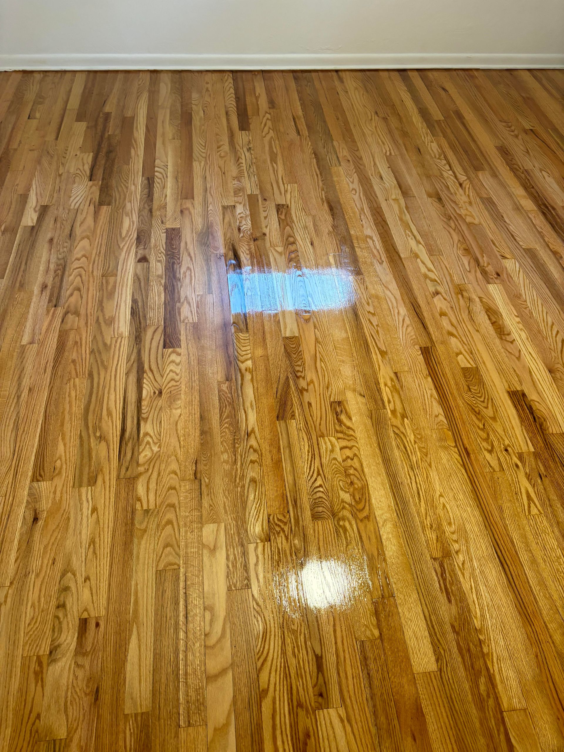 Wooden hardwood floor with a bright, shiny appearance.