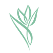 The Natural Fertility Project