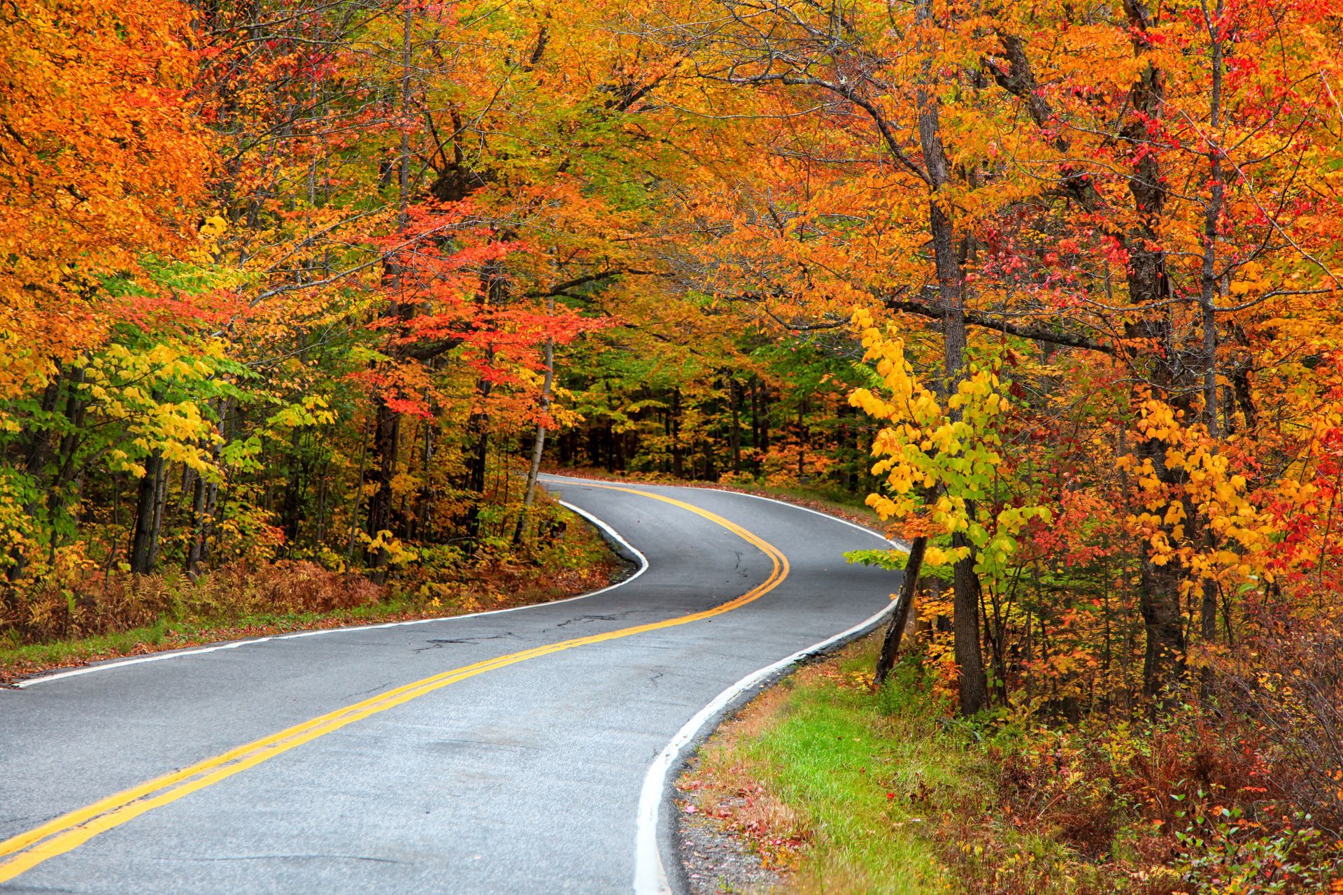 Winding road through colorful autumn trees with bright red, orange, and yellow foliage