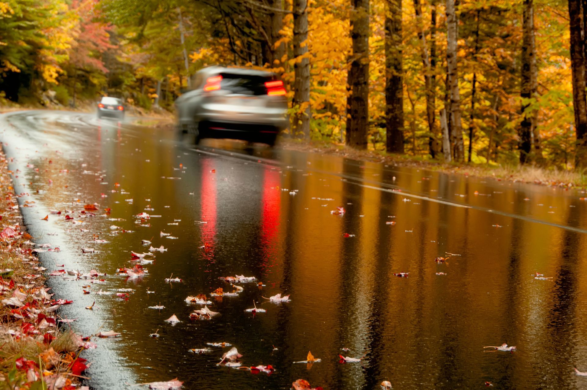Wet road reflecting autumn trees, cars driving. Wet road reflecting autumn trees, cars driving.