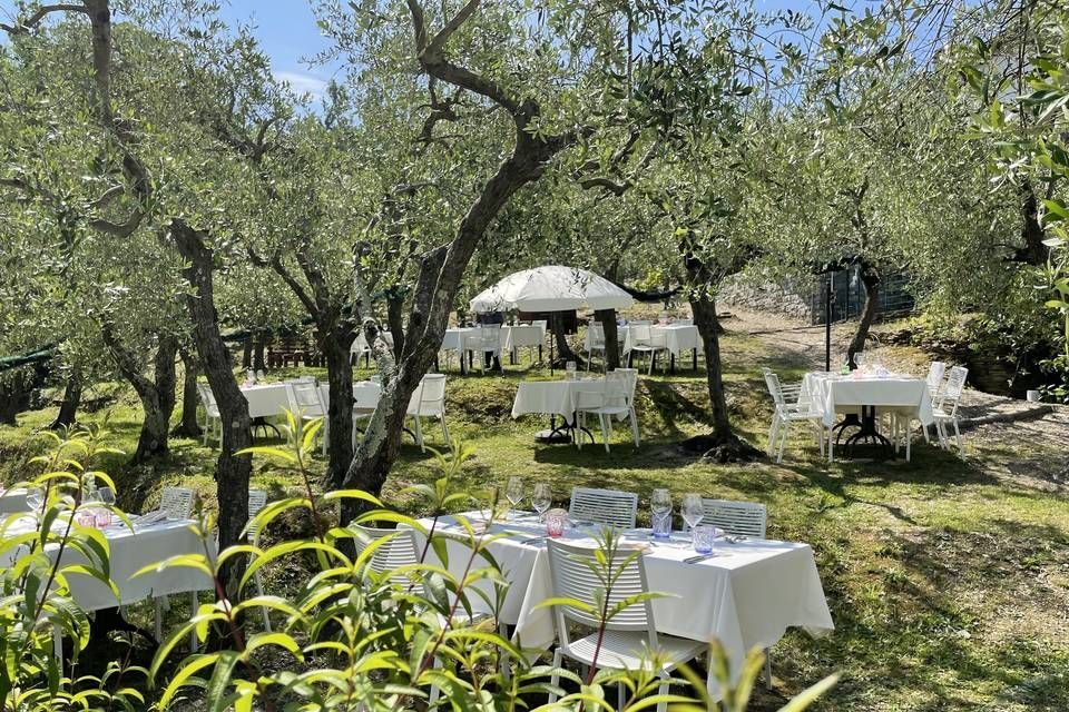 Agriturismo La Bilaia