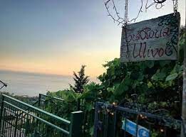 Trattoria L'Ulivo