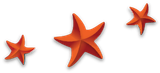 Three red starfish are lined up in a row on a white background.