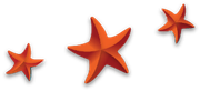 Three red starfish are lined up in a row on a white background.
