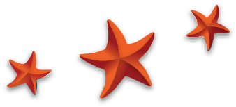 Three orange, five-pointed starfish arranged in a diagonal line from bottom-left to top-right.