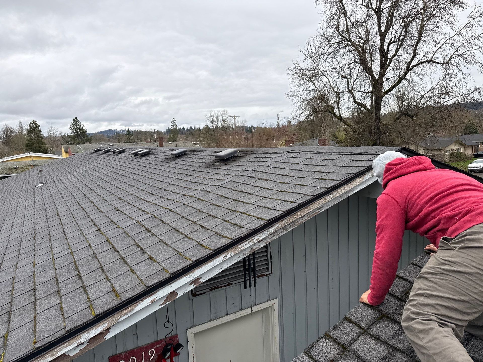 Worker on a roof inspecting storm damage on gray shingles next to a leafless tree