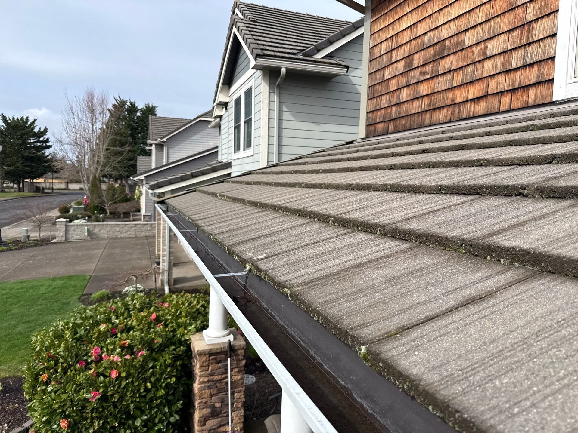 Residential house roofs and gutters viewed from below, with siding, shingles, and shrubs beside a walkway