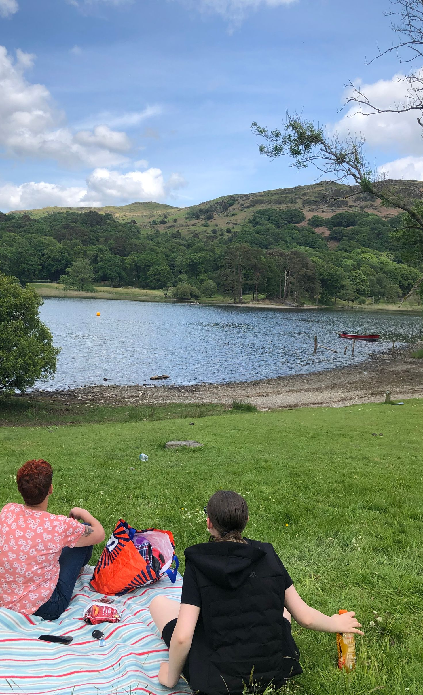 Two people sit on a blanket on a grassy hill, overlooking a scenic lake surrounded by trees under a bright blue sky.