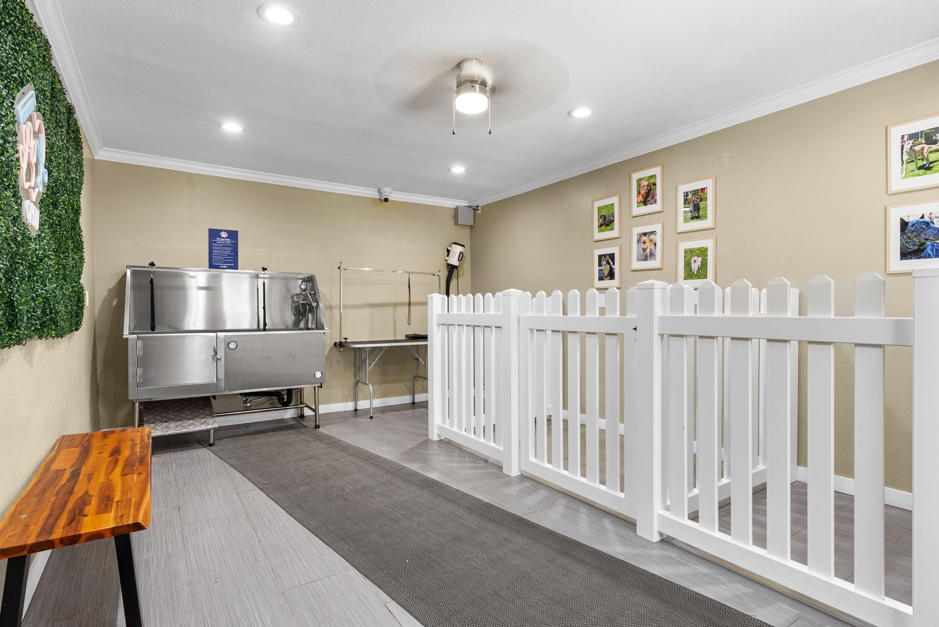 dog wash with grooming station and white fence