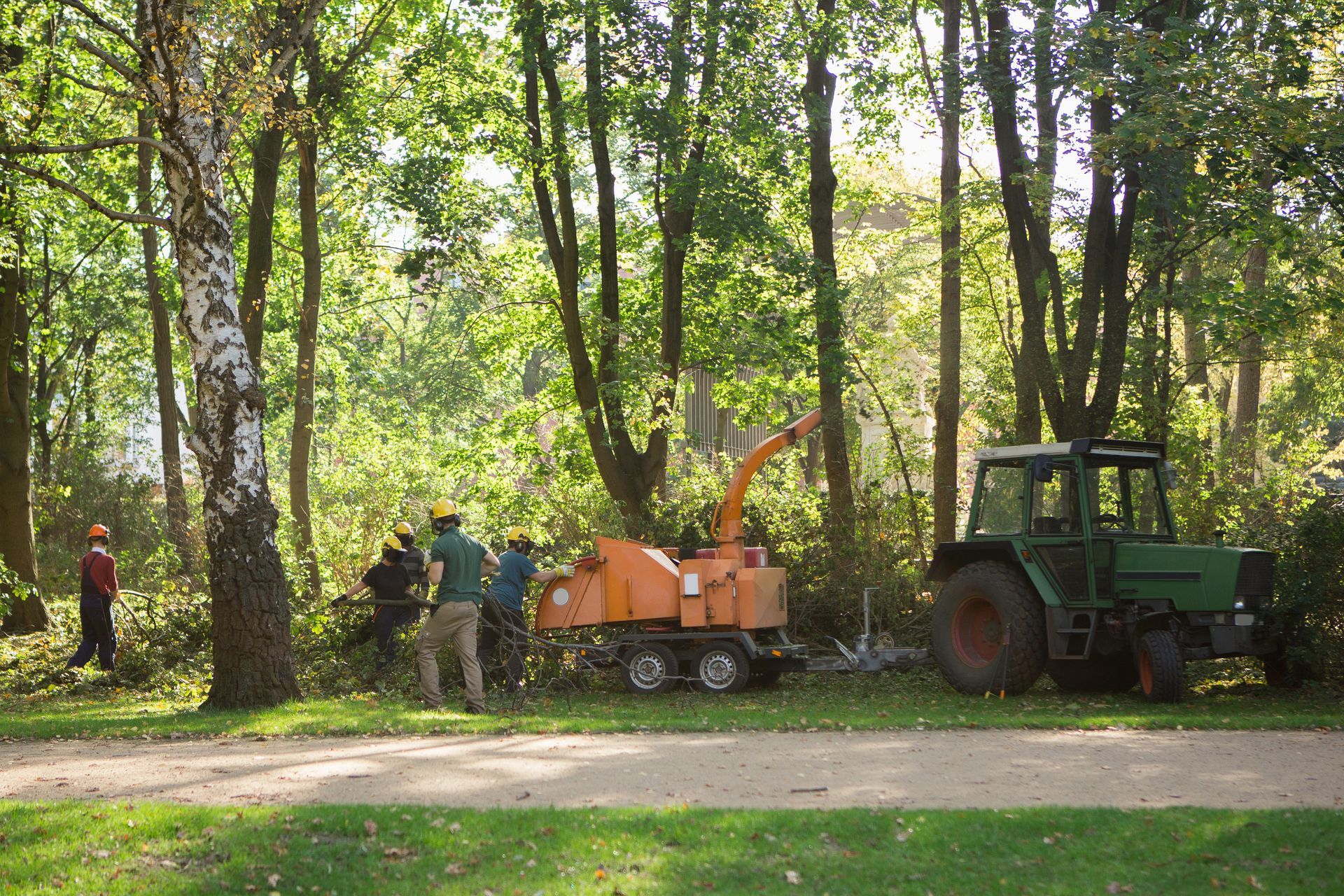 Workers and a green tractor with orange equipment in a wooded park area