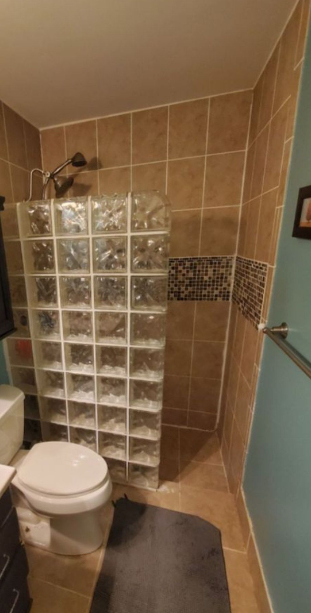 A bathroom with a toilet , sink , shower and glass blocks.