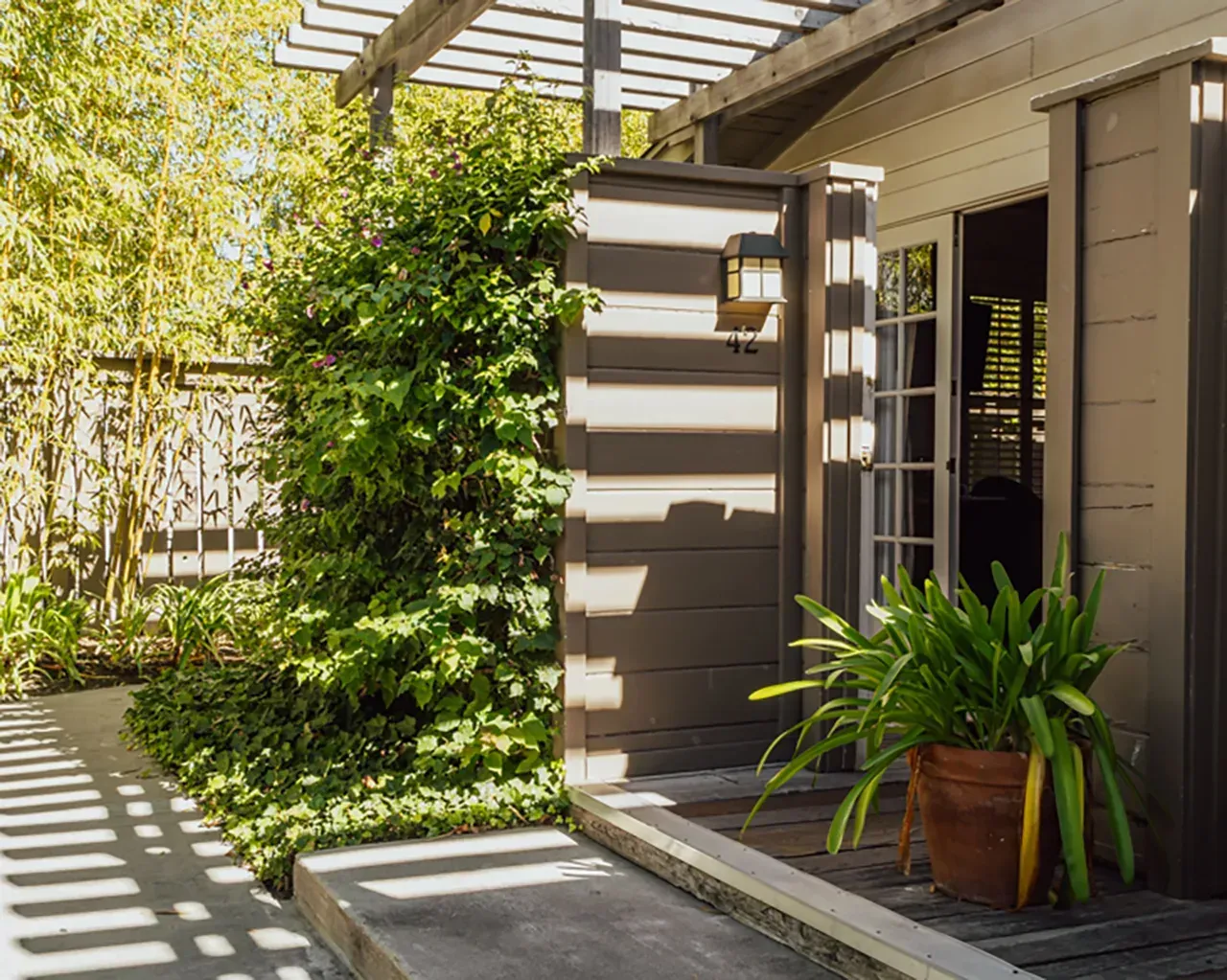 Sunlight filters through a wooden pergola onto a patio entryway with lush greenery and a potted plant by a doorway.
