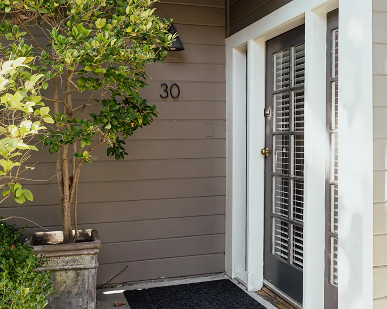 A house entrance with a potted tree, gray wood siding, the number 30 on the wall, and a gray door with vertical blinds.