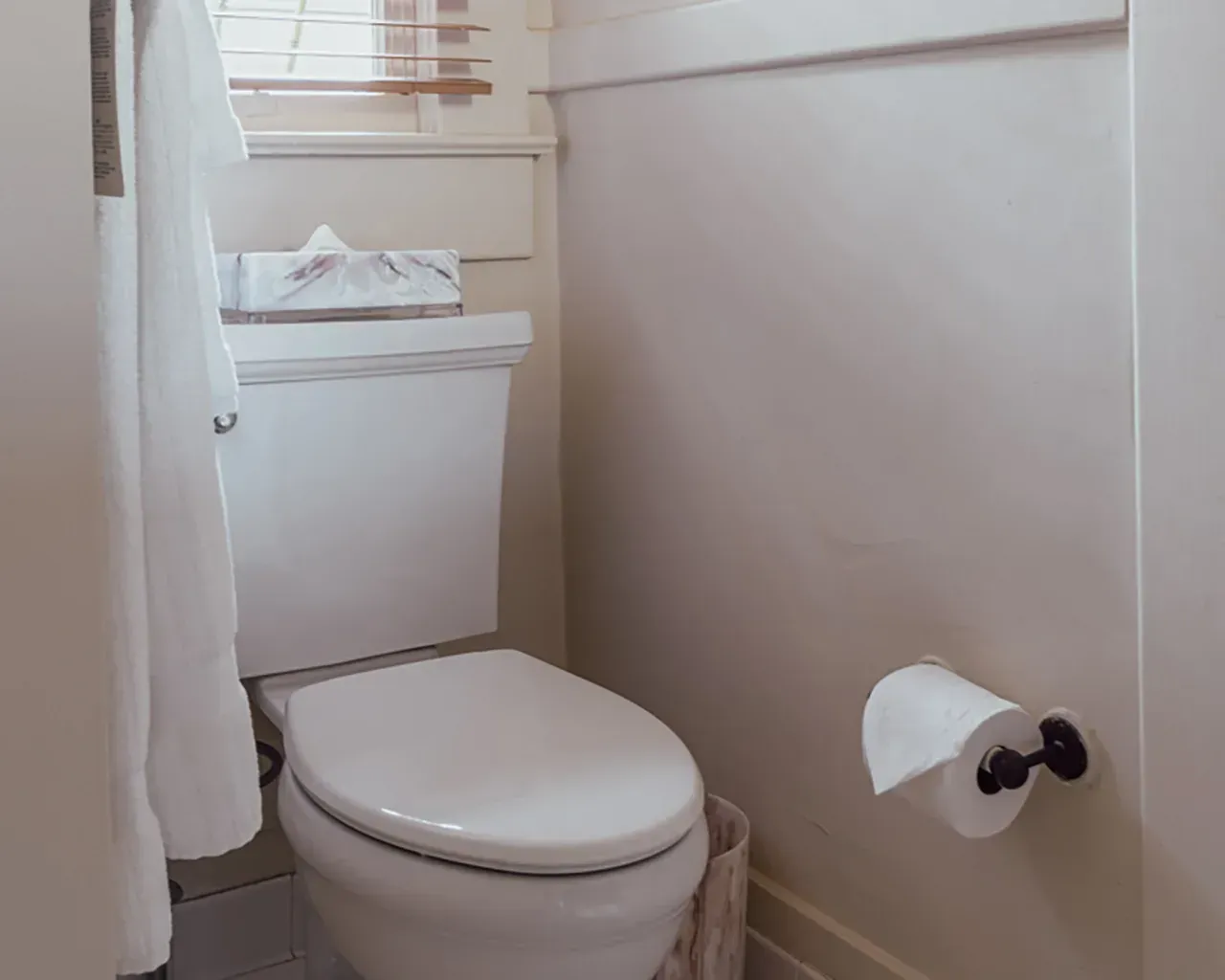 A white toilet in a bathroom with light walls, a white towel hanging on the left, and a wall-mounted toilet paper holder.