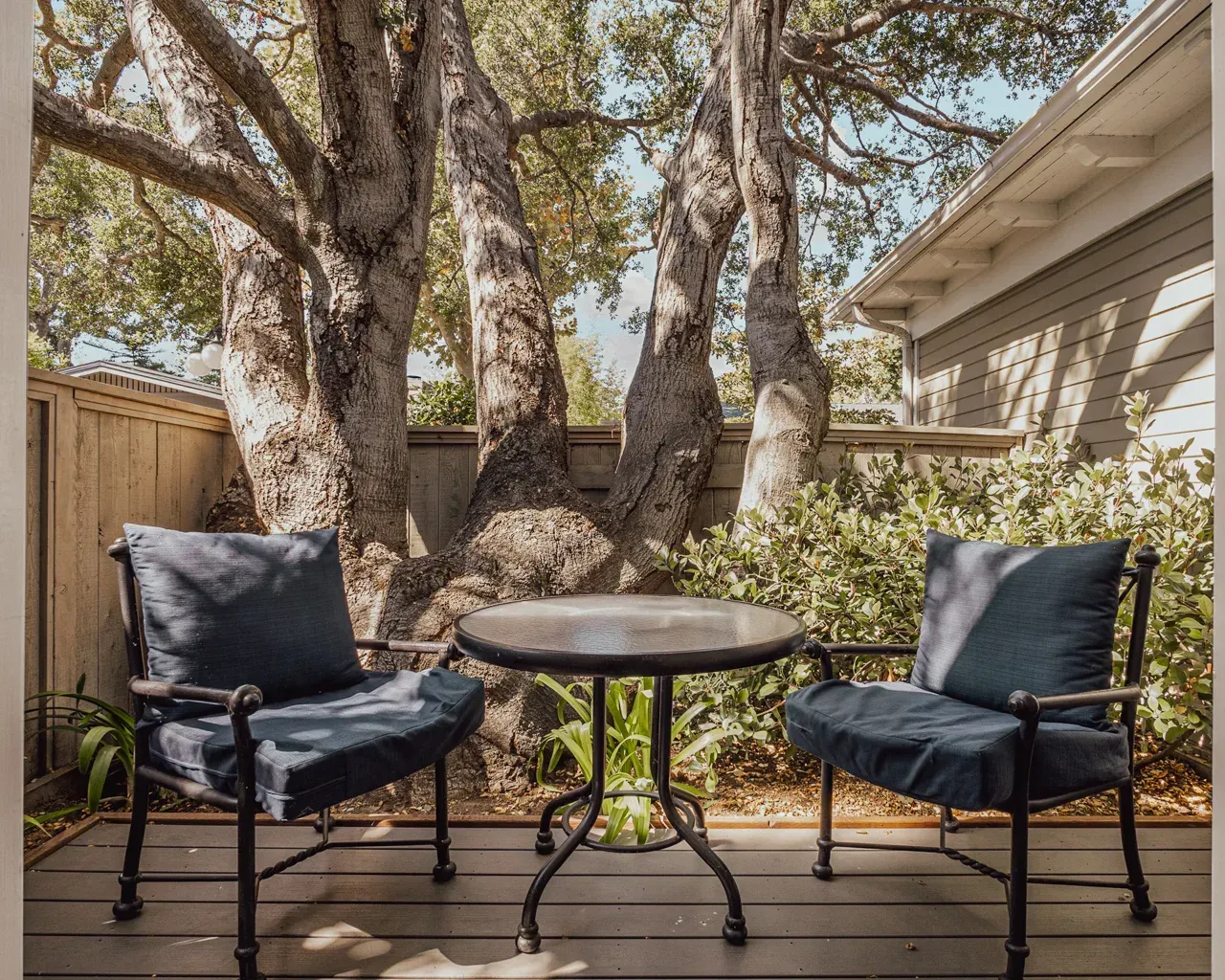 Two dark blue cushioned chairs and a small round table on a wooden deck in front of a large, multi-trunk tree.