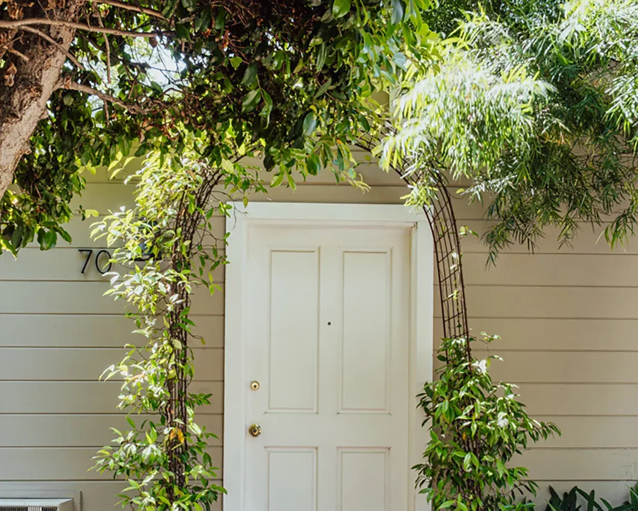 A white front door framed by a metal garden arch covered in green climbing vines against a light-colored house exterior.