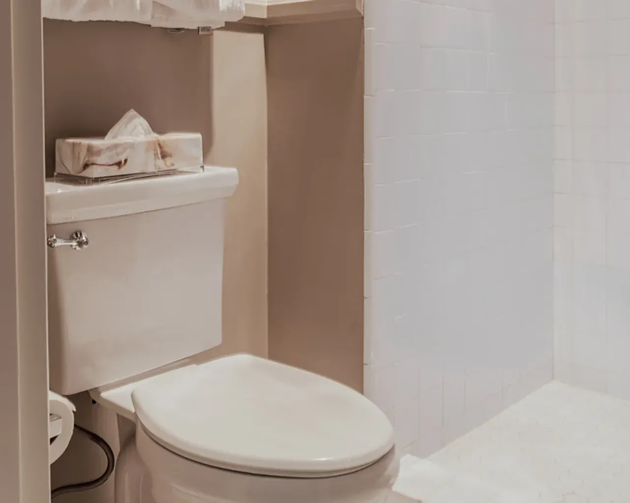 A white toilet in a bathroom, with a tissue box on the tank and a tiled shower wall to the right.