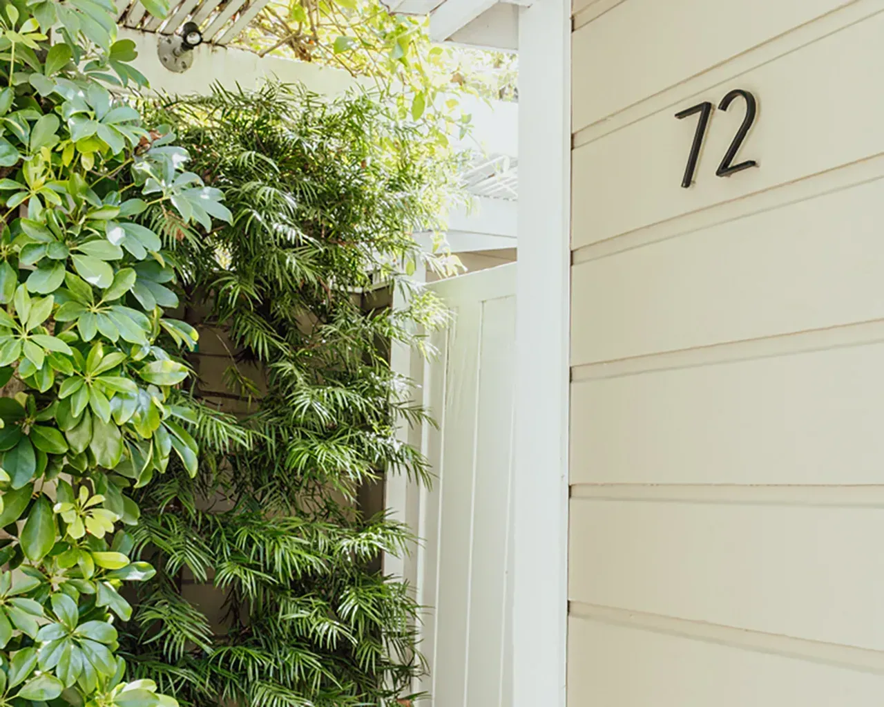 A light-colored house siding with the number 72 mounted on it, next to a lush green vine-covered wall.