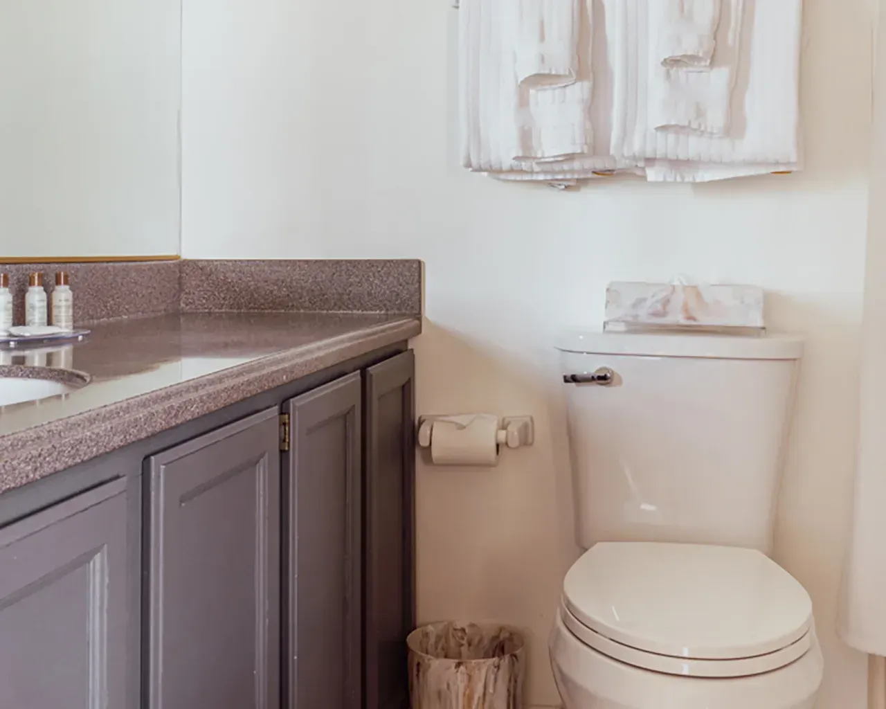 A bathroom featuring a light gray vanity with a stone countertop, a white toilet, and white towels hanging on the wall.