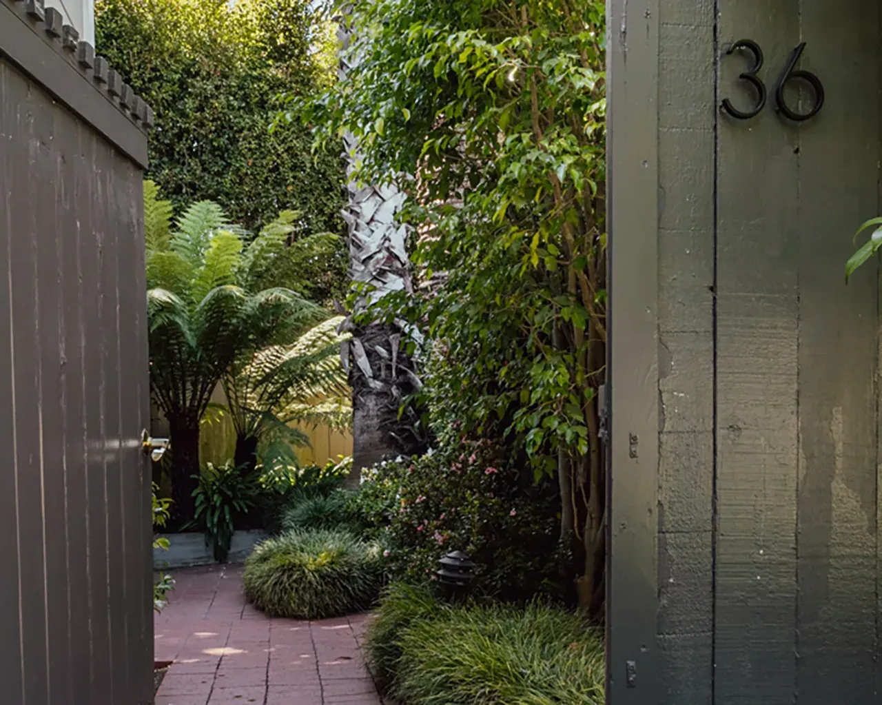 A lush garden path viewed through an open wooden gate marked with the number 36.