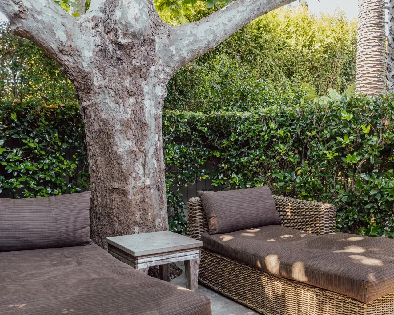 Two brown lounge chairs with cushions and a small table sit outside under a large tree against a green hedge.