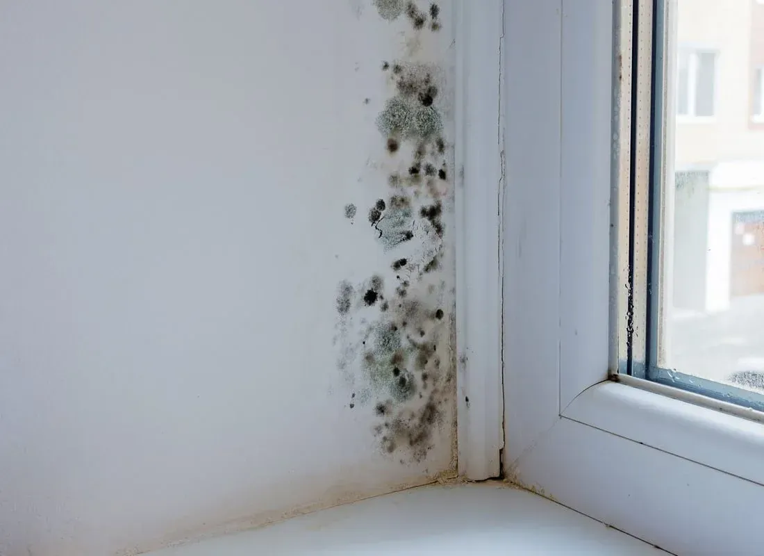Foremost Waterproofer in Minneapolis